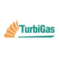 Logo de TURBIGAS